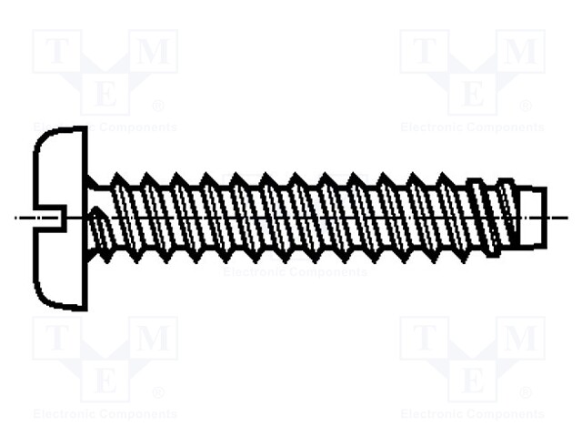 Screw; for plastic; 2.9x19; Head: cheese head; slotted; 0,8mm; zinc