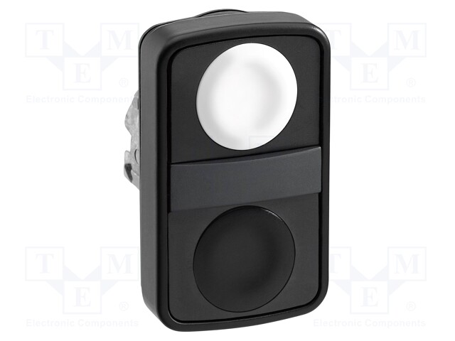 Switch: double; Stabl.pos: 1; 22mm; white/black; Illumin: none; IP66