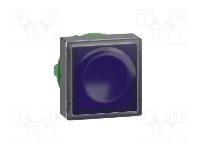 Switch: push-button; Stabl.pos: 1; 22mm; blue; IP66; Pos: 2; Ø22mm