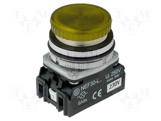 Control lamp; 30mm; NEF30; -15÷30°C; Illumin: LED,filament lamp