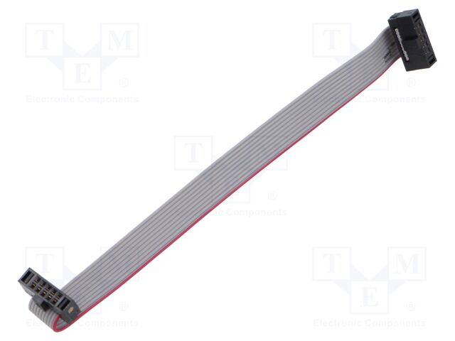 Ribbon cable with IDC connectors; Tape ph: 0.64mm; 101.6mm