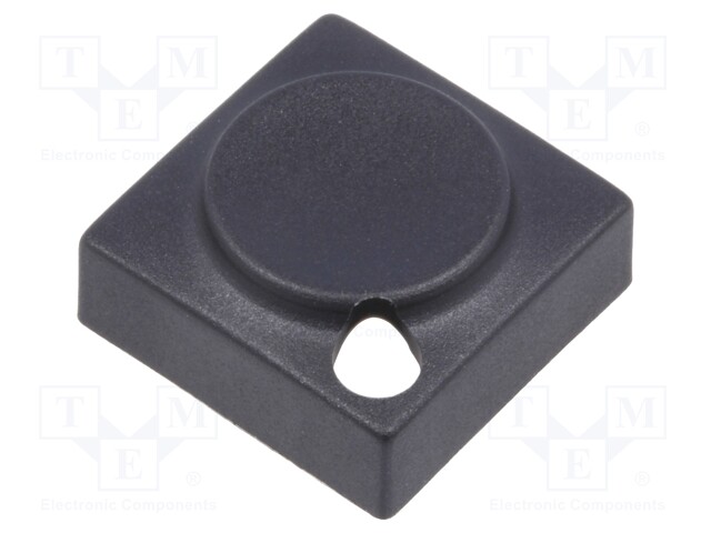 Button; rectangular; Application: 6425.4111,6425.4121,6425.4131