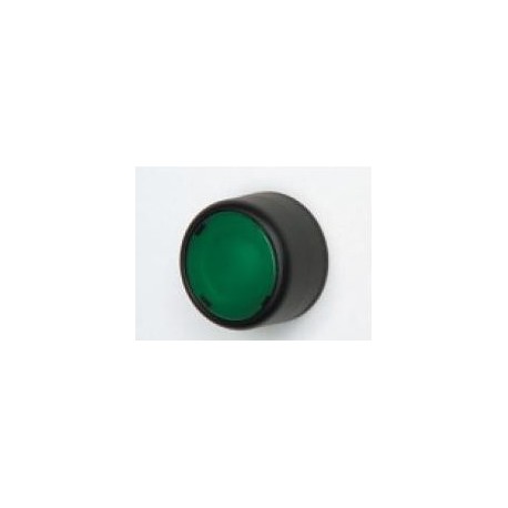 PUSH BUTTON GREEN FLUSH