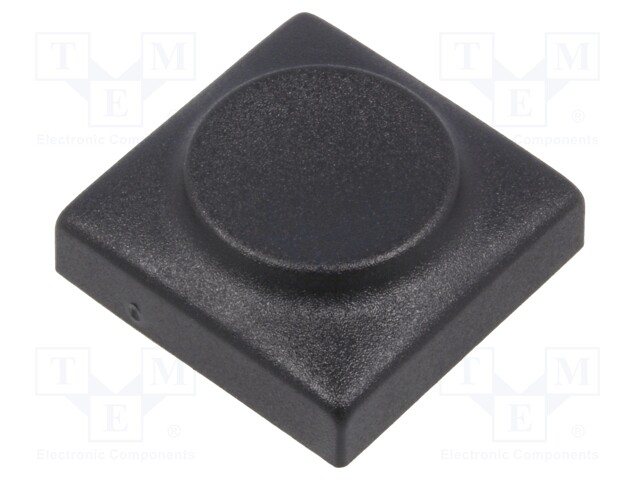 Button; rectangular; Application: 6425.0101,6425.1101; Mat: PA