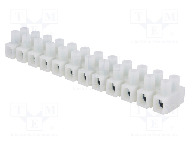Terminal block; screw terminal; ways: 12; 4mm2; terminals: 24; 450V