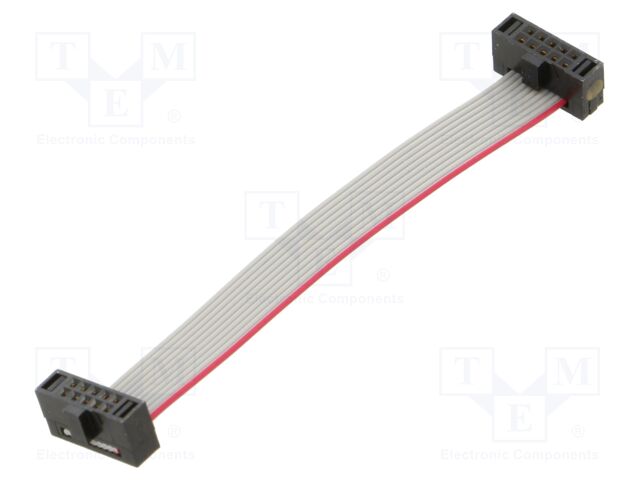 Ribbon cable with IDC connectors; Tape ph: 0.64mm; 63.5mm