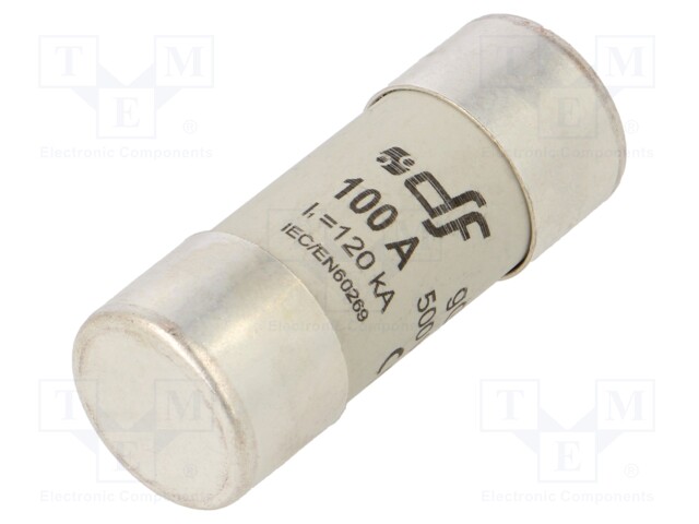 Fuse: fuse; gG; 100A; 500VAC; 80VDC; 22x58mm; copper; silver plated