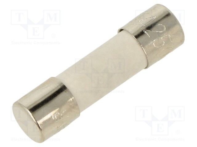 Fuse: fuse; time-lag; 10A; 250VAC; ceramic; 20x5.2mm; brass; bulk