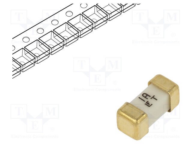 Fuse, Surface Mount, 1 A, NANO2 Series, 125 VAC, 125 VDC, Time Delay, SMD