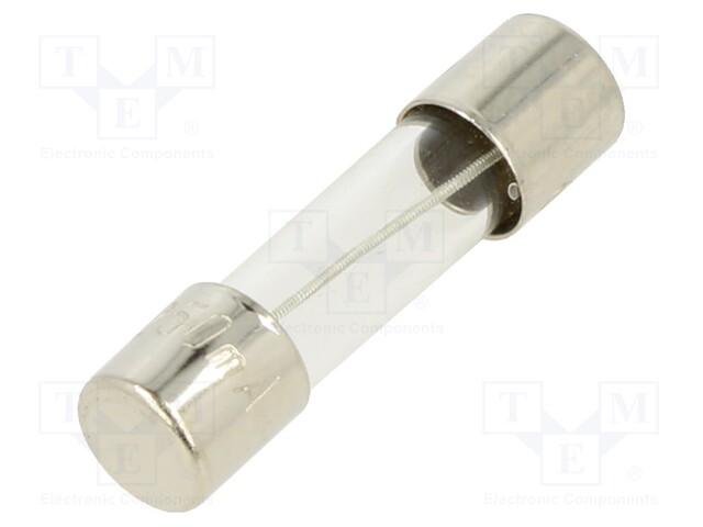 Fuse: fuse; time-lag; 250mA; 250VAC; glass; 20x5.2mm; brass; bulk