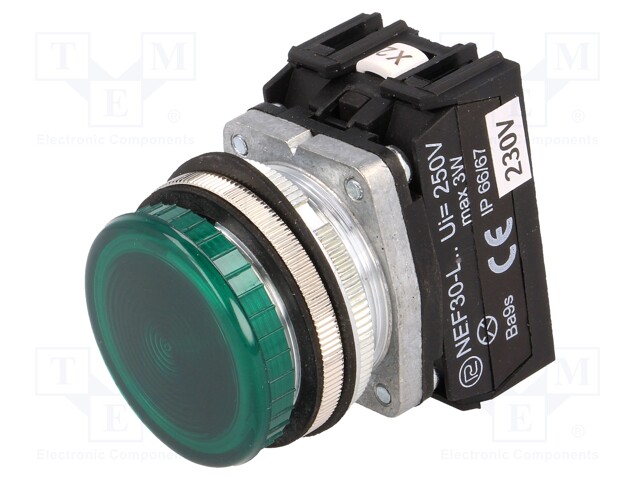 Control lamp; 30mm; NEF30; -15÷30°C; Illumin: LED,filament lamp