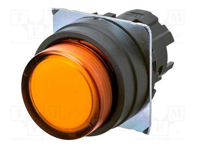 Switch: push-button; 22mm; Stabl.pos: 1; prominent; Pos: 2