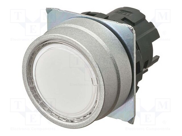 Switch: push-button; 22mm; Stabl.pos: 2; flat; Pos: 2