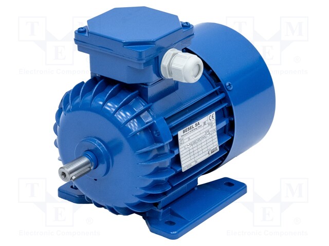 Motor: AC; 3-phase; 0.37kW; 230/400VAC; 2840rpm; 5.6kg; IP54