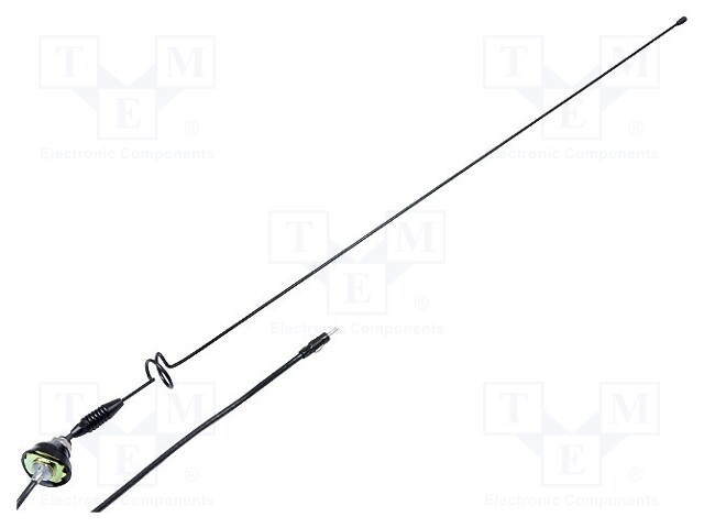 Antenna; car top; 0.8m; AM,FM; 1.3m; Rod inclination: regulated