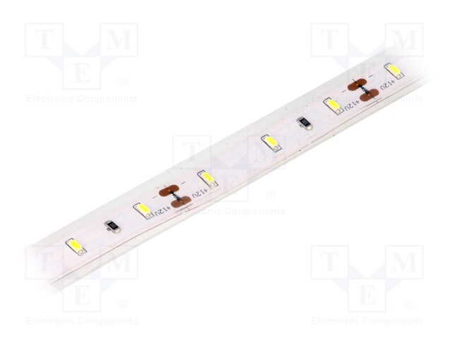 LED tape; white cold; LED/m: 60; SMD; 3014; 12V; 10mm; 120°; IP65