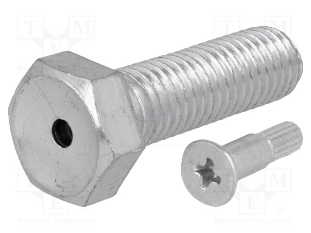 Pin; M12; Plunger mat: steel; Plating: zinc; Thread len: 40mm
