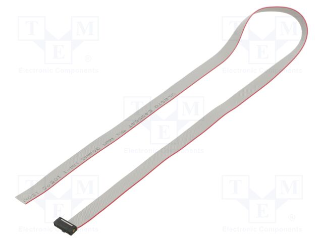 Ribbon cable with IDC connectors; Tape ph: 0.64mm; 1270mm