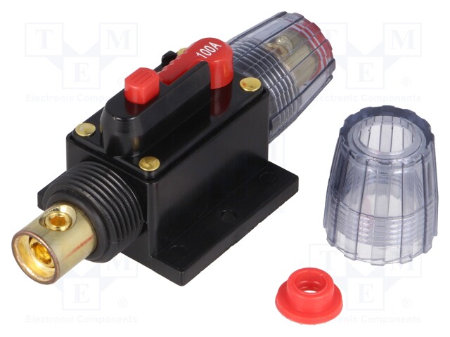 Fuse: automatic; automotive; 100A; black; 12÷48VDC; 4.2x10x4.2mm