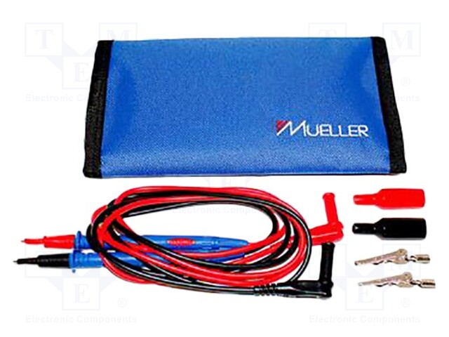 Set of test leads
