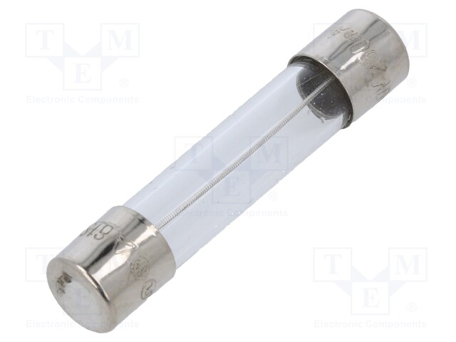 Fuse: fuse; 250mA; 250VAC; glass; 6.35x31.8mm; brass; nickel plated