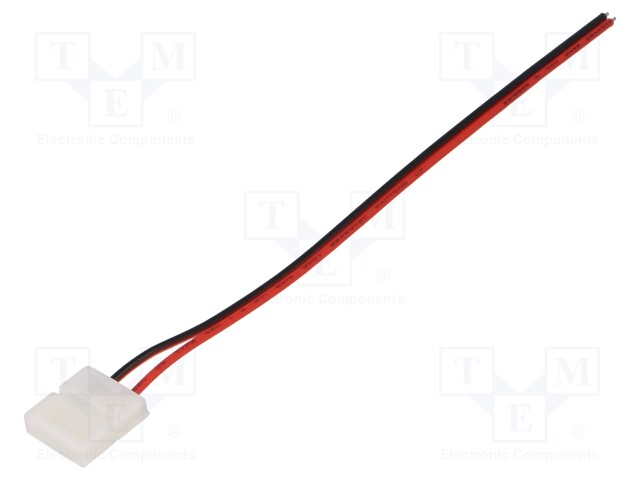 Terminal; Connector: for LED stripes; PIN: 2; snap-on