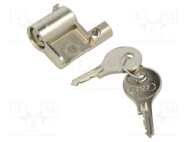 Insert for lock