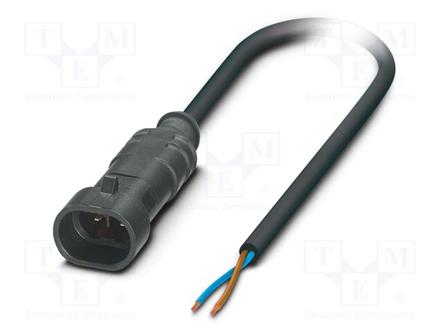 Connection lead; Superseal; PIN: 2; straight; 5m; plug; 24VAC; 8A