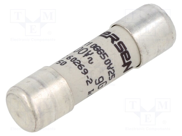 Fuse: fuse; gG; 25A; 400VAC; ceramic; 10x38mm