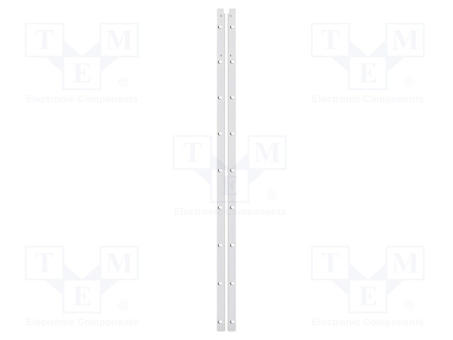 Rack mount