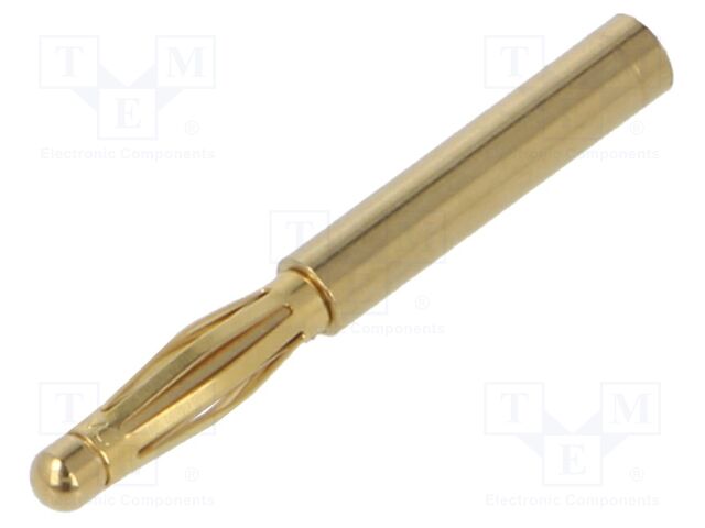 Plug; 2mm banana
