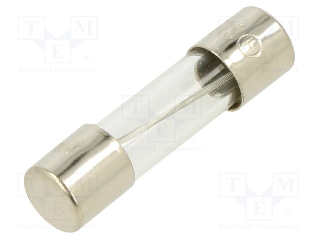 Fuse: fuse; time-lag; 300mA; 250VAC; glass; 20x5.2mm; brass; bulk