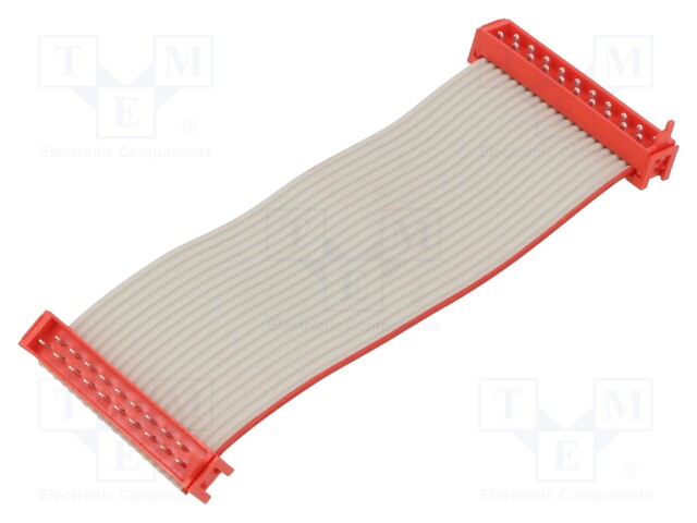 Cable: ribbon cable with connectors; PIN: 20; Layout: 2x10; plug