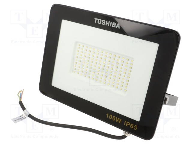 Lamp: LED flood light; 230VAC; 100W; cool white; 120°; 6500K; IP65