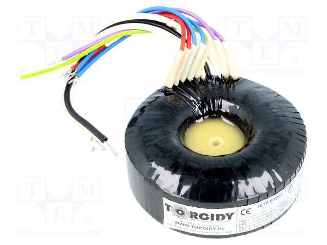 Transformer: toroidal audio; 60VA; 115/115VAC; 250V; 3.15÷3.15V