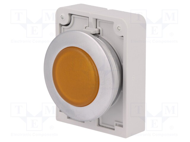 Control lamp; 30mm; RMQ-Titan; -25÷70°C; Illumin: M22-LED; Ø30.5mm