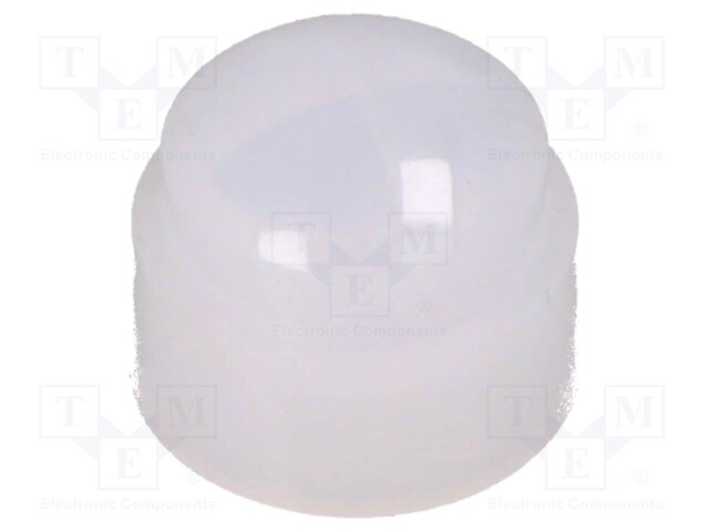 Fresnel lens; -25÷60°C; natural white; Detection: 65°x60°