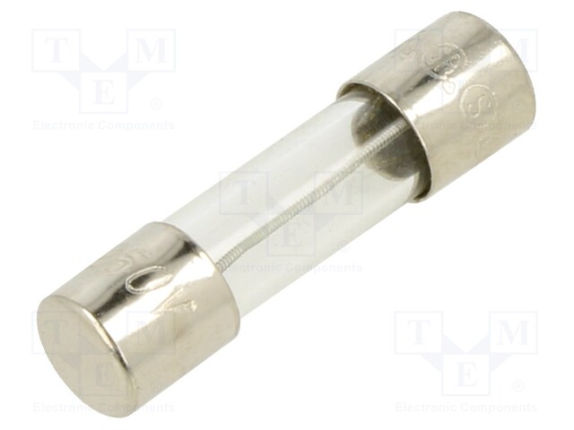 Fuse: fuse; 250mA; 250VAC; glass; 20x5.2mm; brass; bulk