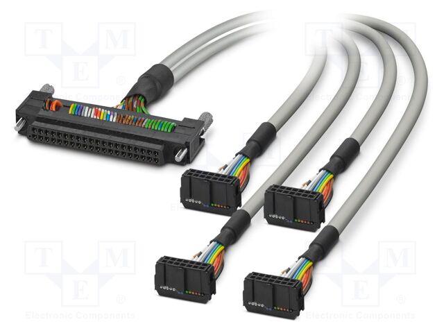 Ribbon cable with IDC connectors; Contacts ph: 2.54mm; 2m; 26AWG
