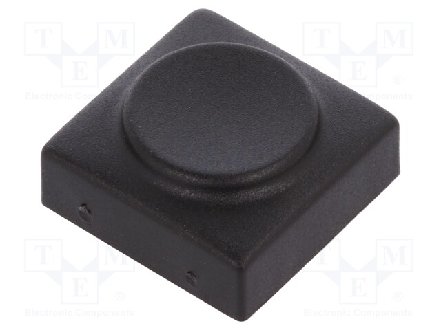 Button; rectangular; Application: 6425.0101,6425.1101; Mat: PA
