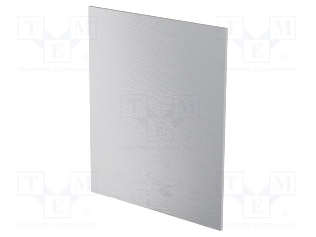 Rear panel; for ITALTRONIC enclosure