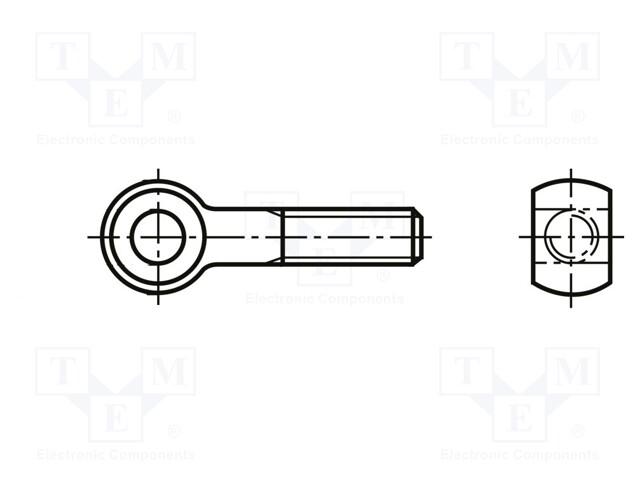 Lifting eye bolt; M6x100; Head: eye; steel; zinc; DIN 444A; 6mm