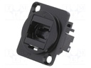 Connector: fiber optic; coupler; MTP,both sides; Mat: metal