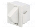 Switch: door; Pos: 2; SPST-NC; 5A/250VAC; Switch.method: ON-(OFF)