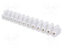 Terminal block; screw terminal; ways: 12; 4mm2; terminals: 24; 400V