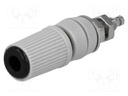 Socket; 4mm banana; 24A; black; nickel plated; screw,on panel