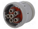 Connector: wire-wire; AHD; plug; female; PIN: 6; Locking: bayonet