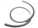NEON LED tape; white warm; 2835; 12V; LED/m: 120; 12mm; IP65; 10W/m
