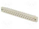 Socket; DIN 41617; female; PIN: 31; for cable; straight; 4A; 250V