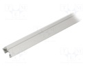 Profiles for LED modules; silver; L: 1m; 45-ALU; aluminium